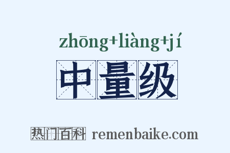 中量级是什么意思的图片